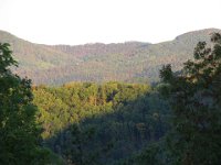 Tennessee Mountains (21)
